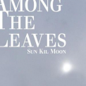 Sun Kil Moon - Amoung The Leaves (2CD) '2012