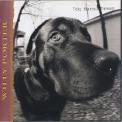 Willy Porter - Dog Eared Dream '1994