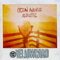 Yellowcard - Ocean Avenue Acoustic '2013
