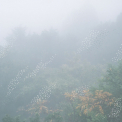 Chihei Hatakeyama - Mist (2CD) '2015