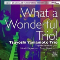 Tsuyoshi Yamamoto - What A Wonderful Trio! '2008
