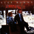 Stef Burns - Swamp Tea '1999