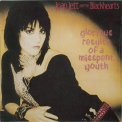 Joan Jett - Glorious Results Of A Misspent Youth [1992 Remaster] '1984