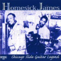 Homesick James - Chicago Slide Guitar Legend '2000