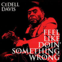 Cedell Davis - Feel Like Doin' Something Wrong '1995
