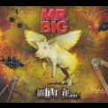 Mr. Big - What If '2011