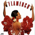 La Pocha Y Su Grupo De Flamenco - Hi-fi Flamenco '1998