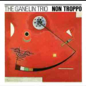 The Ganelin Trio - Non Troppo (1990 Hat Hut) '1982