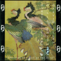 Daevid Allen - Stroking The Tail Of The Bird '2000