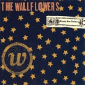 The Wallflowers - Bringing Down The Horse '1996