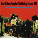 Acid Mothers Temple & The Melting Paraiso U.F.O. - Have You Seen The Other Side Of The Sky '2006