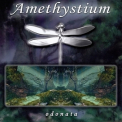 Amethystium - Odonata '2001