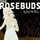 The Rosebuds - Night Of The Furies '2007