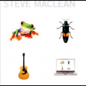 Steve Maclean - Frog Bug Guitar Computer '2008