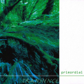 Transience - Primordial '2003