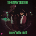 Flamin' Groovies - Jumpin' In The Night '1979