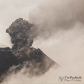 The Flashbulb - Piety Of Ashes '2017
