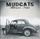 Mudcats Blues Trio - Mudcats Blues Trio '2014