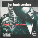 Joe Louis Walker - Blues Survivor '1993