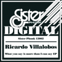Ricardo Villalobos - What You Say Is More Than I Can Say  '2006
