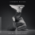 Andrew Bayer - In My Last Life 2 '2018