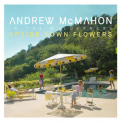 Andrew Mcmahon In The Wilderness - Upside Down Flowers [Hi-Res] '2018