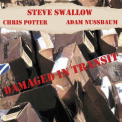 Steve Swallow - Damaged In Transit '2003