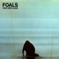 Foals - What Went Down '2015