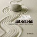 Jim Snidero - Stream Of Consciousness '2013