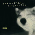 Surnatural Orchestra - Pluir '2012