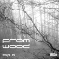Fromwood - Exp. 01 '2013