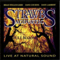 The Strawbs - Strawbs Acoustic - Full Bloom '2004