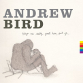 Andrew Bird - Things Are Really Great Here, Sort Of... '2014