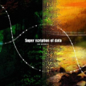 Shimamiya Eiko - Super Scription Of Data '2009