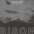 Bison - You Are Not The Ocean You Are The Patient '2017