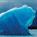 Imperial Teen - Now We Are Timeless '2019
