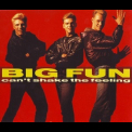Big Fun - Can't Shake The Feeling '1989