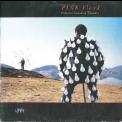 Pink Floyd - Delicate Sound Of Thunder (DE LP) '1988