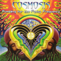 Cosmosis - Fumbling For The Funky Frequency '2009