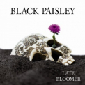 Black Paisley - Late Bloomer '2017