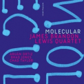 James Brandon Lewis Quartet - Molecular '2020