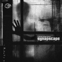 Synapscape - A Journey Through Concern '2020