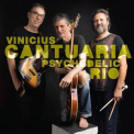 Vinicius Cantuaria - Psychedelic Rio '2024