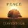 David Tolk - Peace '2020