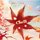 ClariS - AUTUMN TRACKS -Qiu nouta- '2024