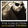 Eric Roberson - The Collection (Bonus Track Edition) '2007