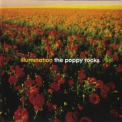 Illumination - The Poppy Rocks '2004