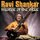 Ravi Shankar - Master of the Sitar '2013