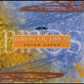 Peter Kater - Birds Of Prey '1999
