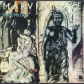 Marvin Gaye - Here My Dear '2007